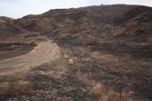 Enlarge photo 41