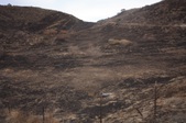 Enlarge photo 42