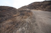 Enlarge photo 44