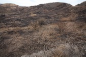 Enlarge photo 45