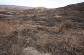 Enlarge photo 46