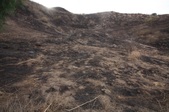 Enlarge photo 48