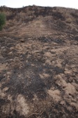 Enlarge photo 49
