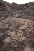 Enlarge photo 50