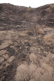 Enlarge photo 51