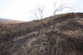 Enlarge photo 53