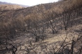 Enlarge photo 56