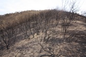 Enlarge photo 57