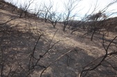Enlarge photo 58