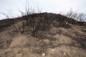 Enlarge photo 61