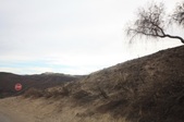 Enlarge photo 63