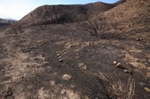Enlarge photo 31