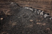 Enlarge photo 39