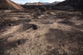 Enlarge photo 47