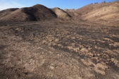 Enlarge photo 48