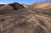 Enlarge photo 49