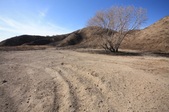 Enlarge photo 55