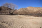 Enlarge photo 56