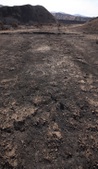 Enlarge photo 54