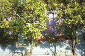 Enlarge photo 29