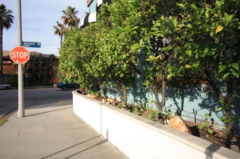 Enlarge photo 30