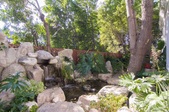 Enlarge photo 41