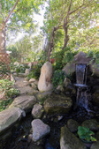 Enlarge photo 49