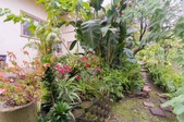 Enlarge photo 41