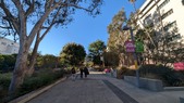 Enlarge photo 45