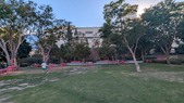 Enlarge photo 49