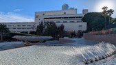 Enlarge photo 74