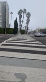 Enlarge photo 41