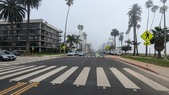Enlarge photo 62