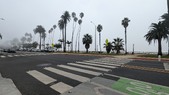 Enlarge photo 63