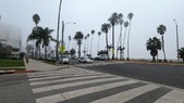Enlarge photo 65