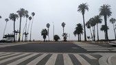 Enlarge photo 66