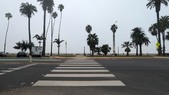 Enlarge photo 69