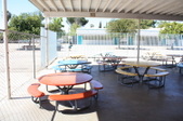 Enlarge photo 45