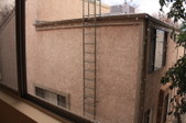 Enlarge photo 41