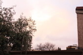 Enlarge photo 55