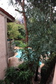 Enlarge photo 58