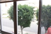 Enlarge photo 58