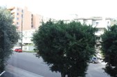 Enlarge photo 59