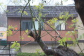 Enlarge photo 41