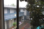 Enlarge photo 67
