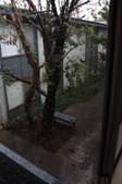 Enlarge photo 85