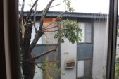 Enlarge photo 103