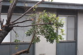 Enlarge photo 104