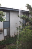 Enlarge photo 105