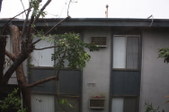Enlarge photo 110